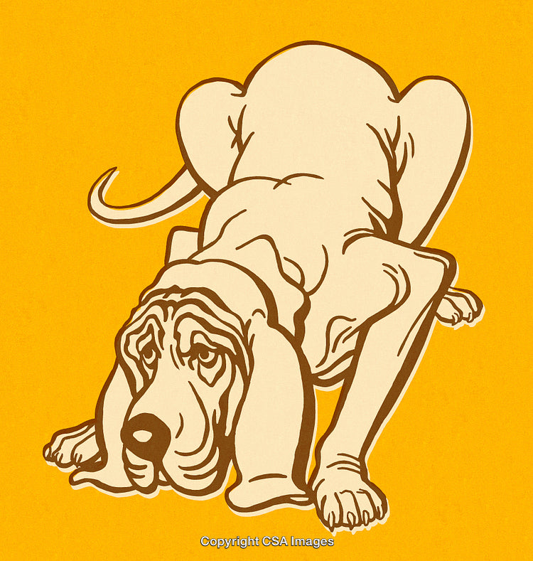 Illustration of a Basset Hound Dog in Playful Pose on Bright Yellow Background