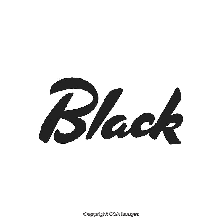 Stylish Black Brush Lettering on Bright White Background