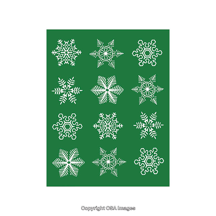 Collection of Diverse Snowflake Shapes on Green Background