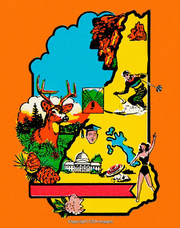 Colorful Illustrated Map with Diverse Regional Activities and Landmarks