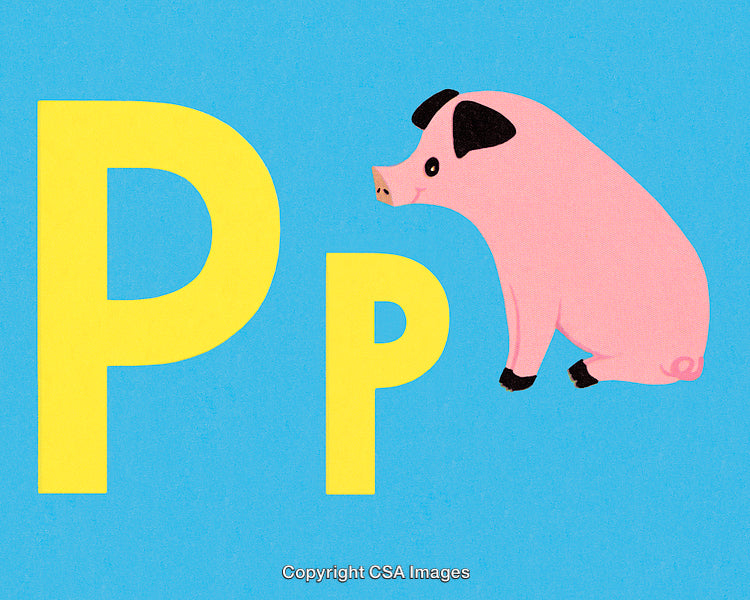 Illustration of Alphabet Letter P with a Cute Pig on Blue Background