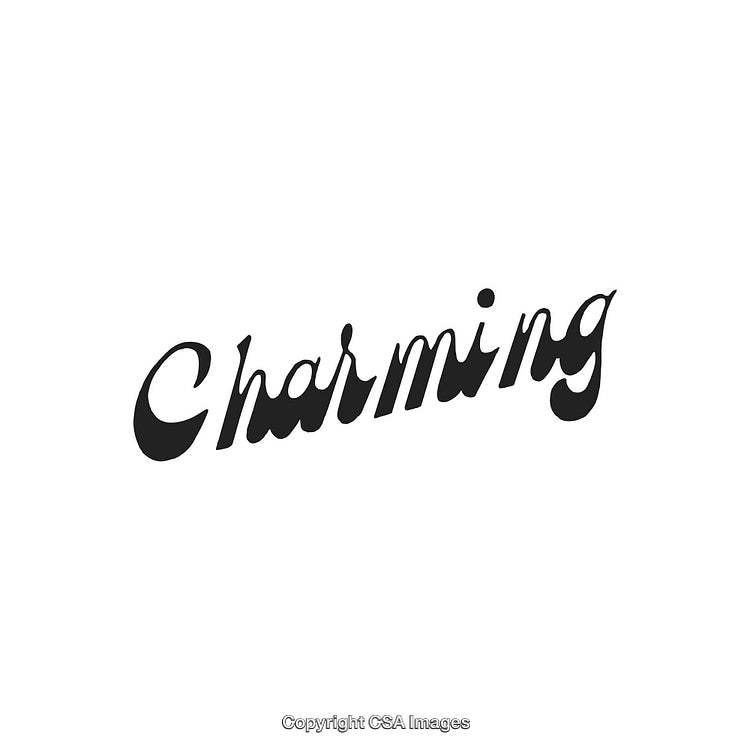 Stylish Bold Black Font Displaying 'Charming' on a White Background