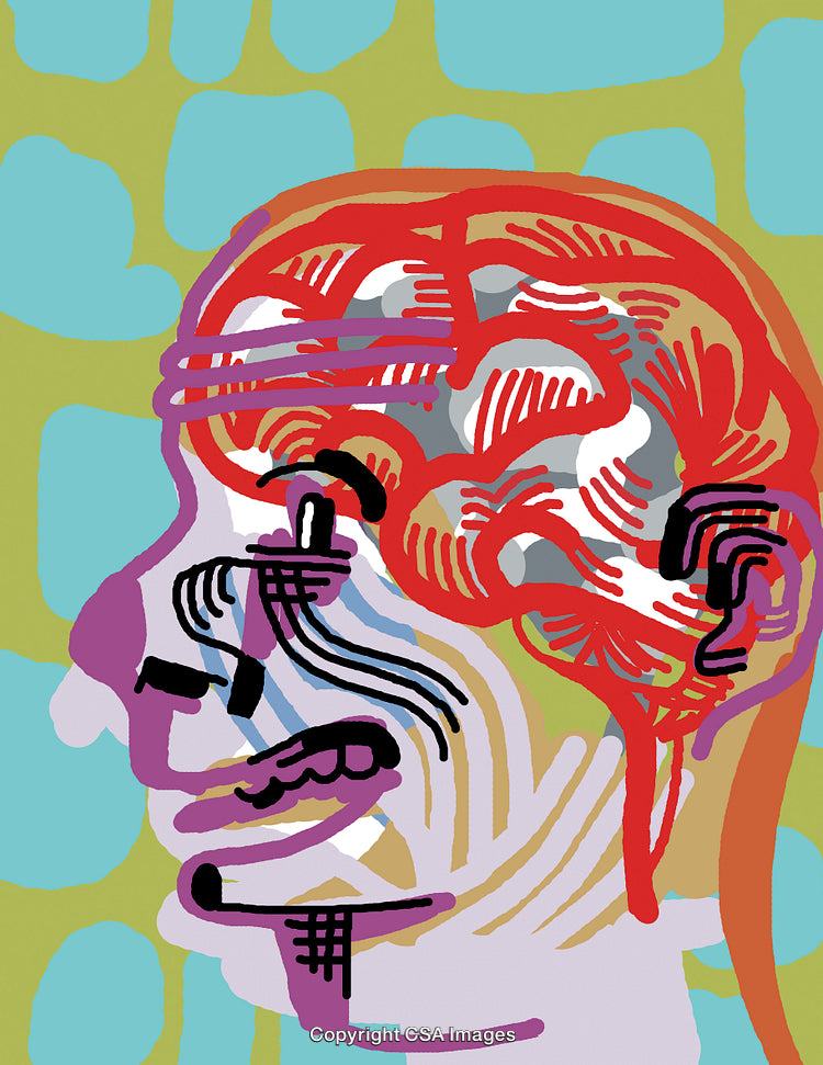 Abstract Illustration of a Brain Anatomy with Vivid Colors and Line Art