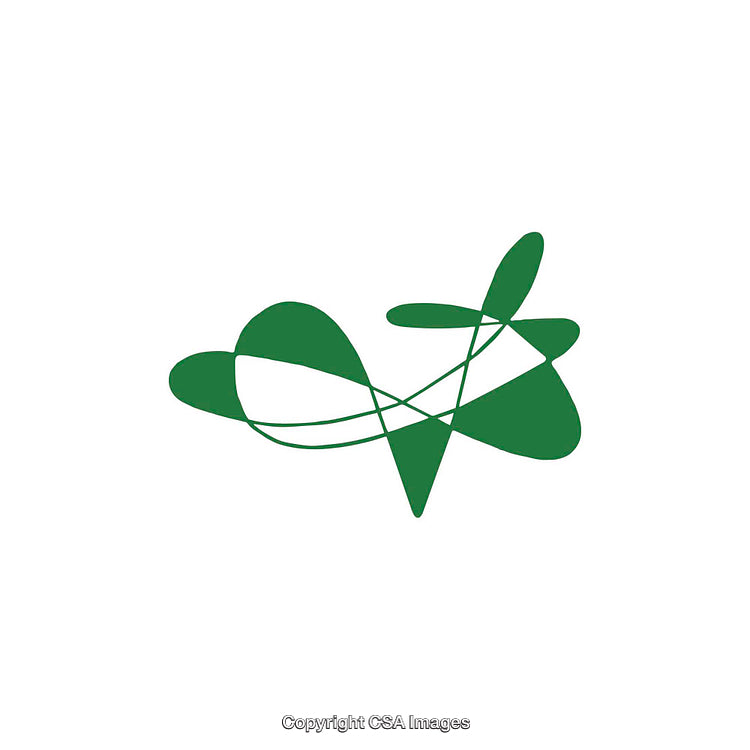 Green Abstract Shape With Swirling and Intersecting Lines on White Background