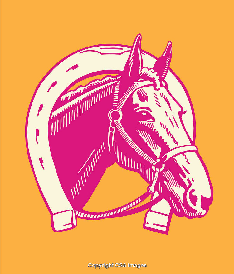 Vibrant Illustrated Horse Head with Horseshoe on Orange Background