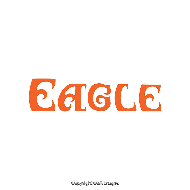 Orange Swirled Retro Letters Spelling 'Eagle' on White Background