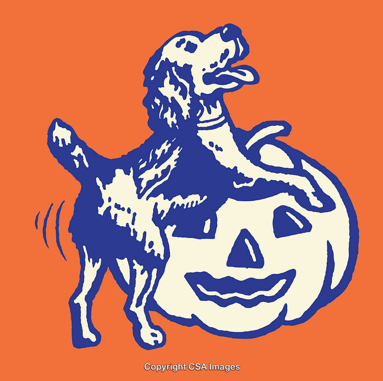 Playful Dog with Pumpkin Design on a Vibrant Halloween Background