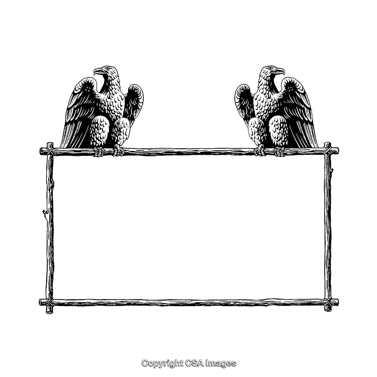 Vintage Black and White Border With Eagle Decorations