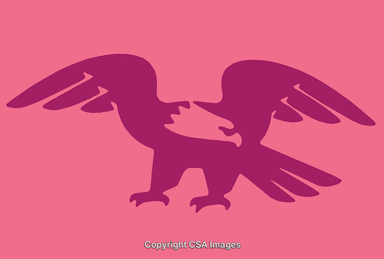Abstract Dual Bird Silhouette Artwork on Vibrant Background