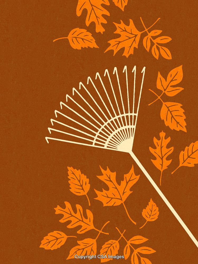 Illustration of Autumn Leaves and Rake on a Brown Background