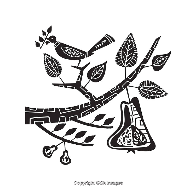 Black and White Ornamental Bird and Pear Illustration