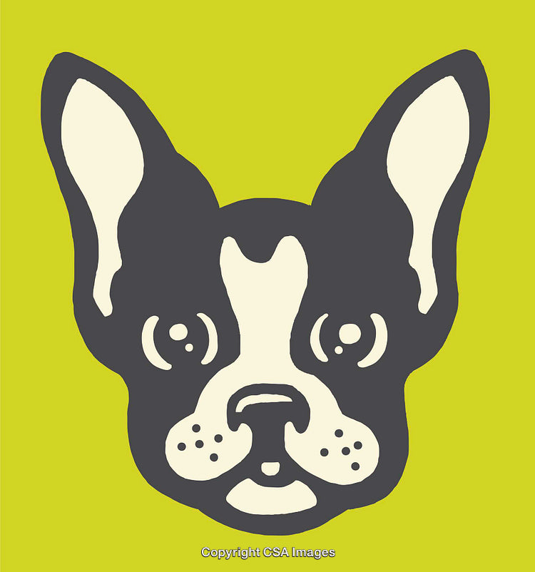 Stylized Illustration of a Boston Terrier Dog Head on Lime Green Background