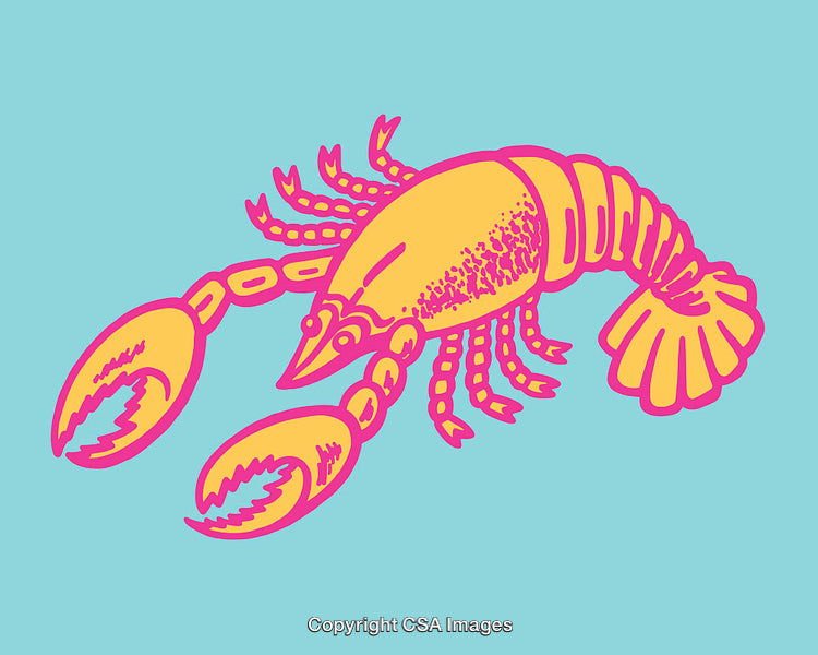 Colorful Line Art Illustration of a Lobster with Vibrant Colors