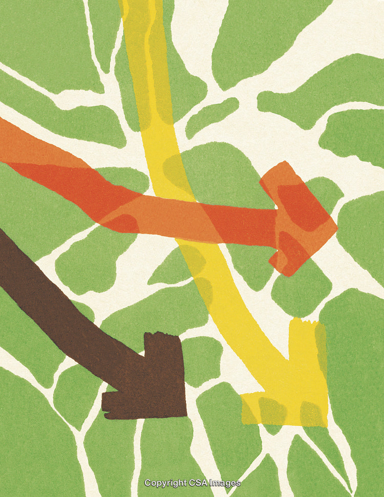 Abstract Colored Arrows on Leaf Pattern Background