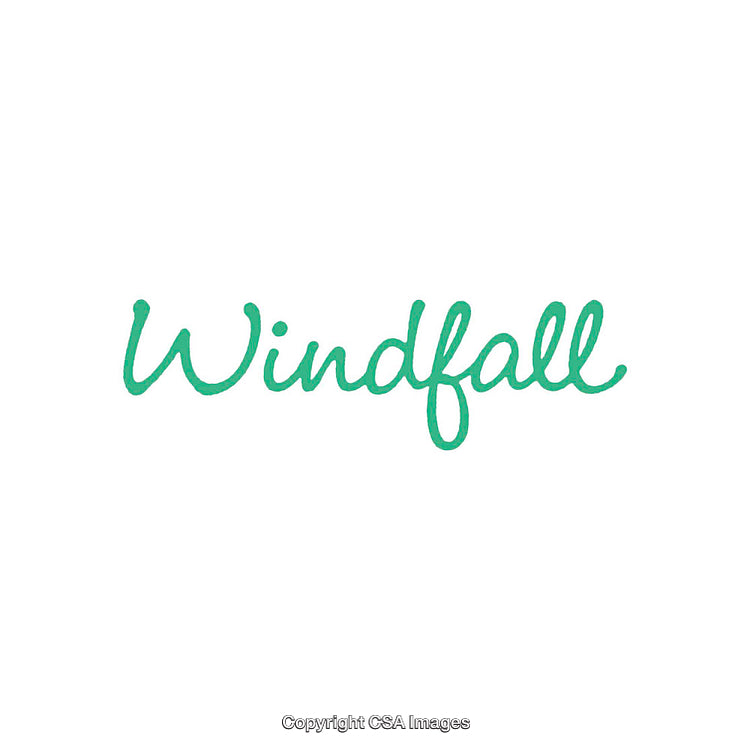 Sleek Minimalistic Design Featuring Elegant Green Handwritten Text on White Background