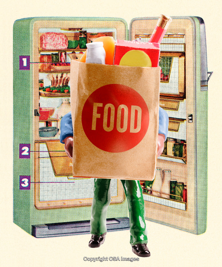Retro Toy Figure With Grocery Bag in Front of Open Refrigerator