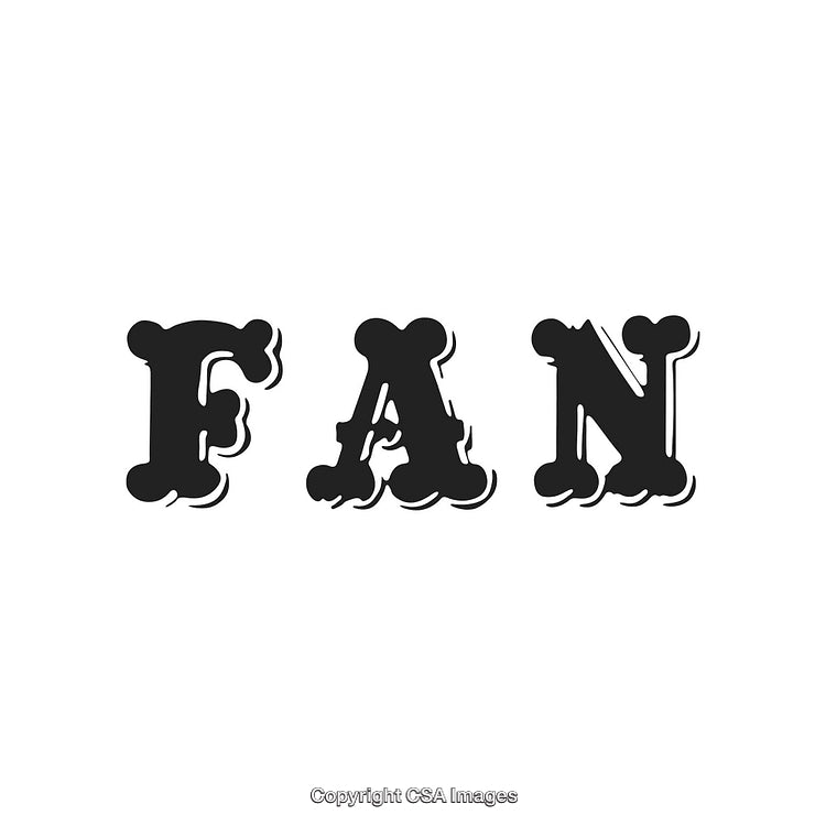 Stylized Word 'Fan' Written in Designer Black Typography