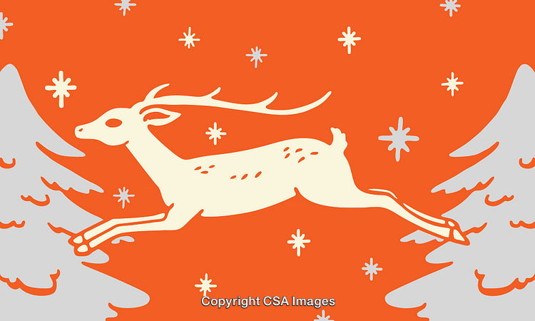 Festive Reindeer Illustration with Snowflakes on a Bright Orange Background