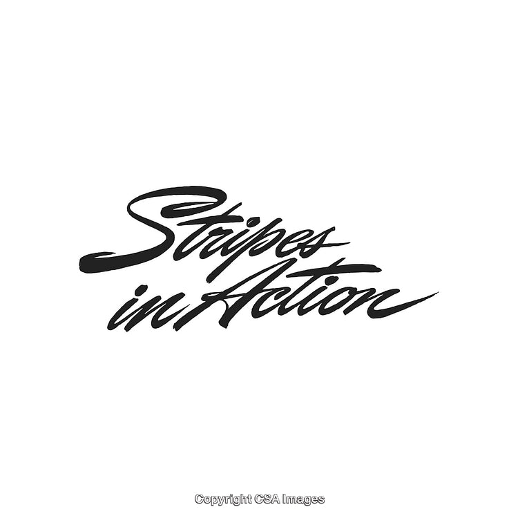 Handwritten Calligraphy Logo Featuring Stylish Typography on White Background
