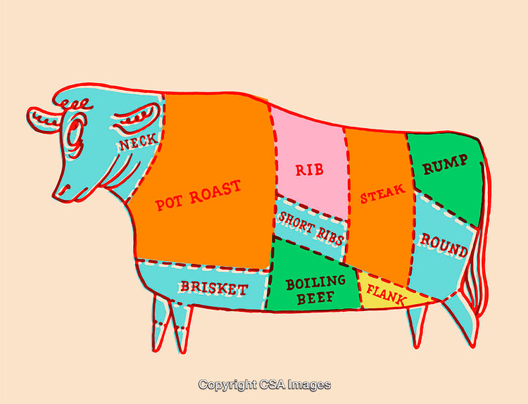 Colorful Diagram Depicting Beef Cuts on a Stylized Cow Illustration