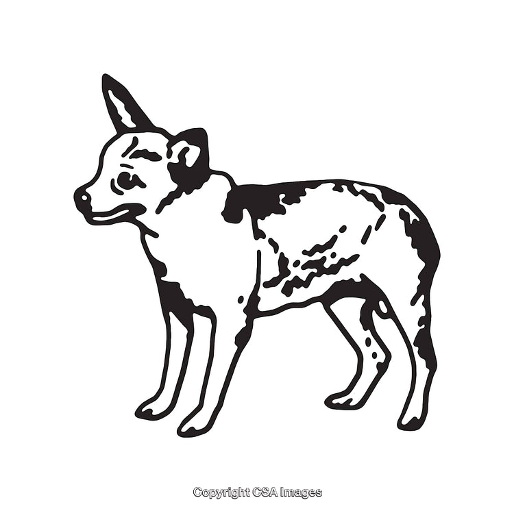 Black and White Line Art Illustration of a Standing Dog