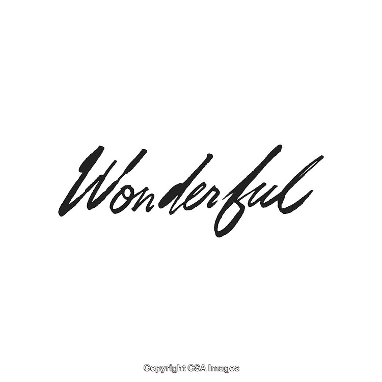Wonderful Handwritten Calligraphy Script with Black Ink on White Background