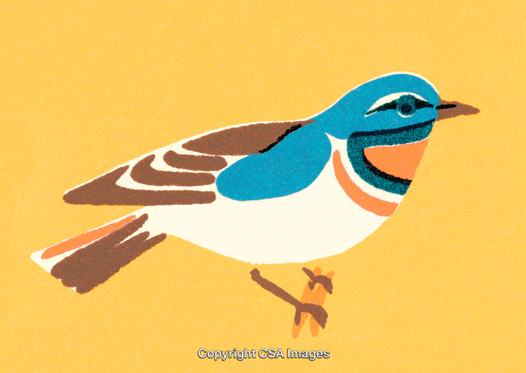 Artistic Illustration of a Colorful Songbird Perched on a Yellow Background