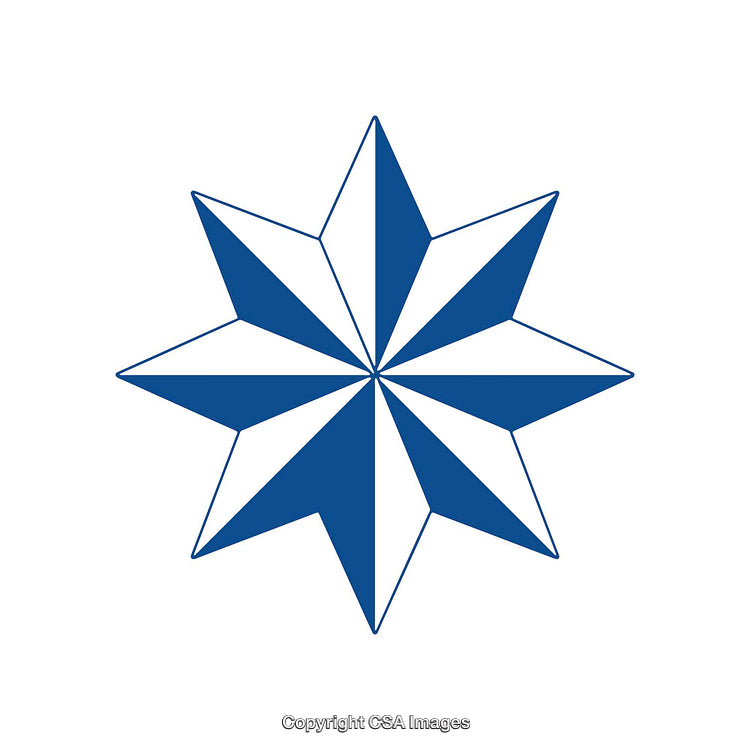 Elegant Blue Eight-Point Star Icon with Symmetrical Design