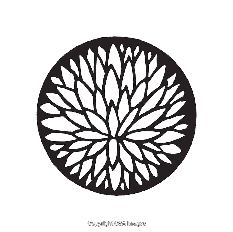 Circular Black and White Line Art with Petal-Like Design
