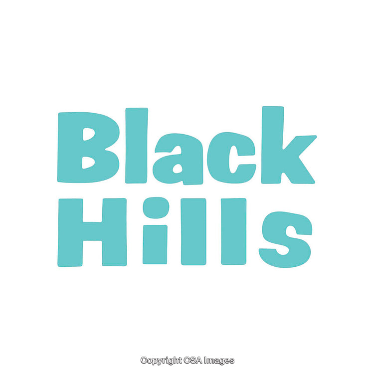 Minimalistic Graphic Design Featuring the Words 'Black Hills' in Blue