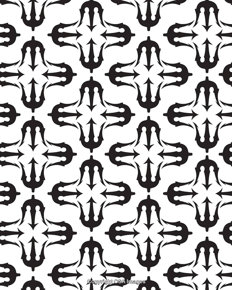 Abstract Black and White Graphic Pattern with Symmetrical Decorative Shapes