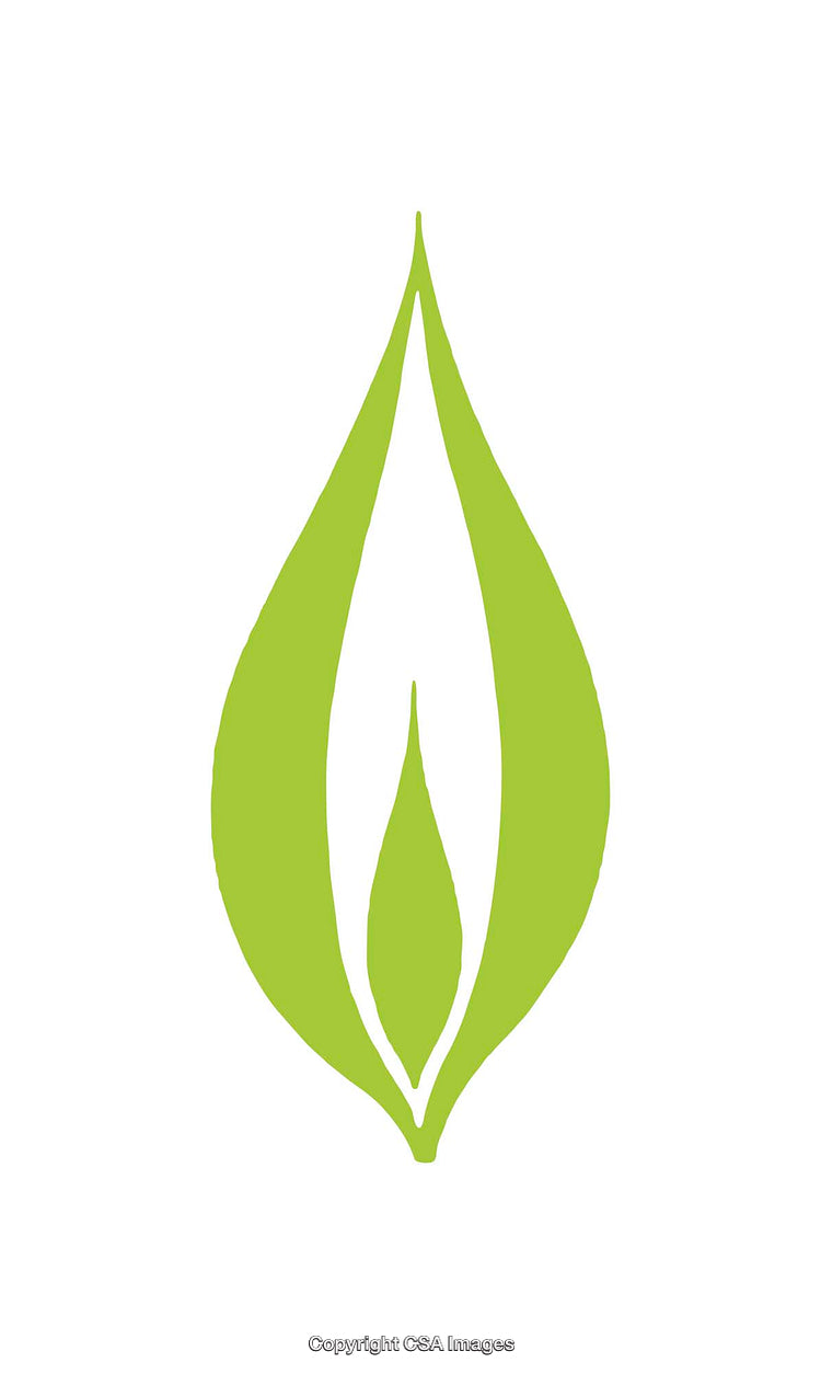 Green Leaf Eco Logo with Minimalistic Style and White Background