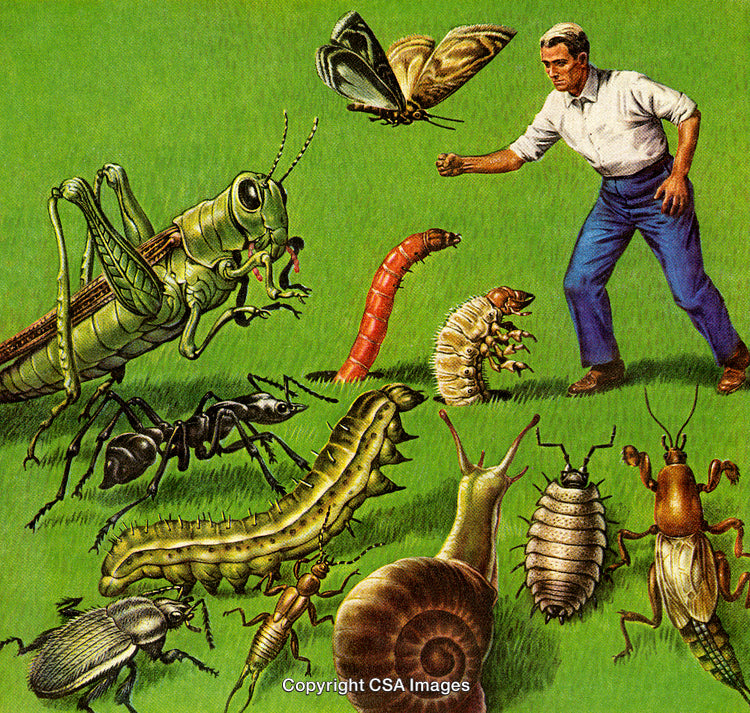 Man Confronting Large Insects in a Surreal Outdoor Scene