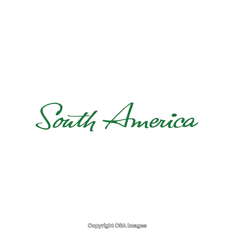 Elegant Green Handwritten Text Depicting South America on White Background