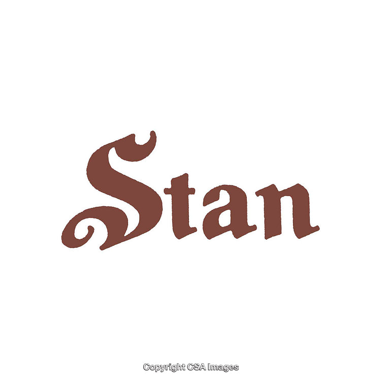 Elegant Typography Featuring the Word 'Stan' in Classic Serif Font