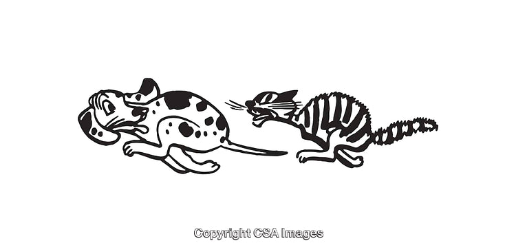 Black and White Line Art of Cat Playfully Chasing a Dog