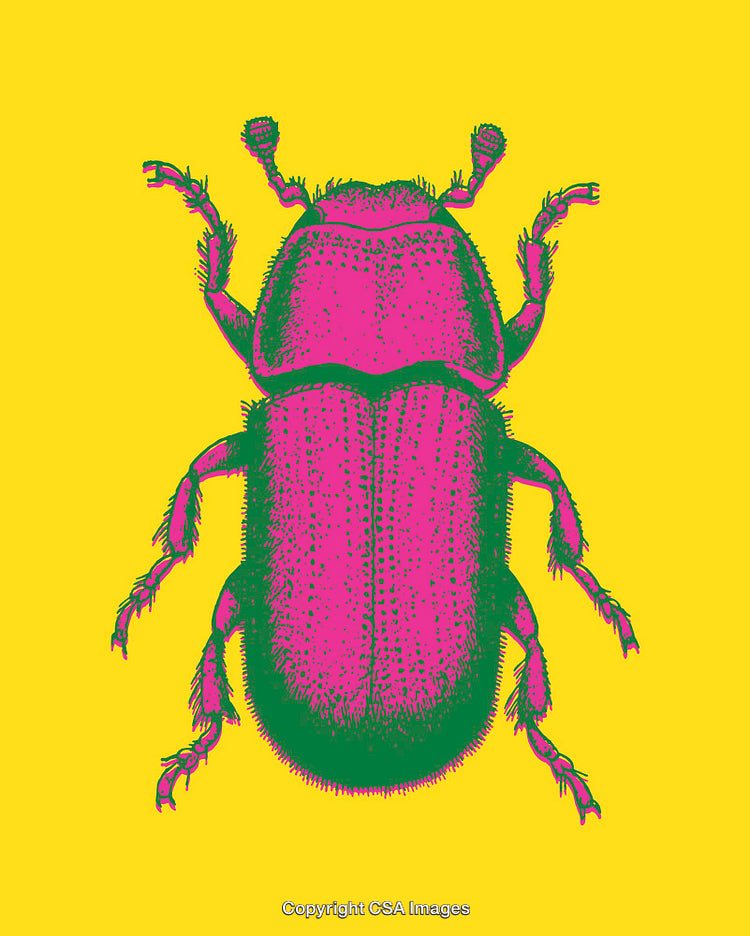 Bold and Colorful Beetle Line Art on Yellow Background