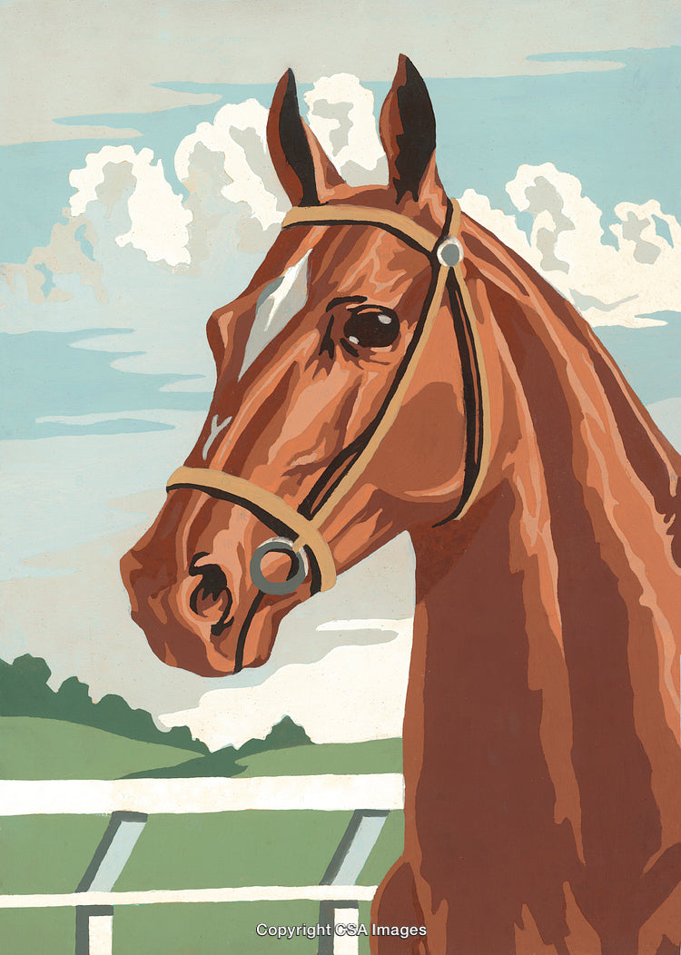 Illustration of a Horse in a Paint By Numbers Style Outdoors