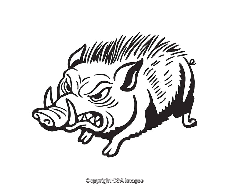 Black and White Line Art Illustration of a Wild Boar
