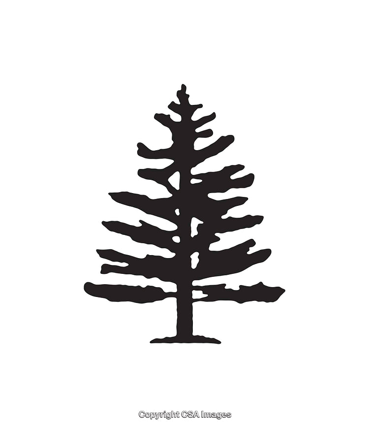 Simple Black and White Icon Depicting a Pine Tree Silhouette