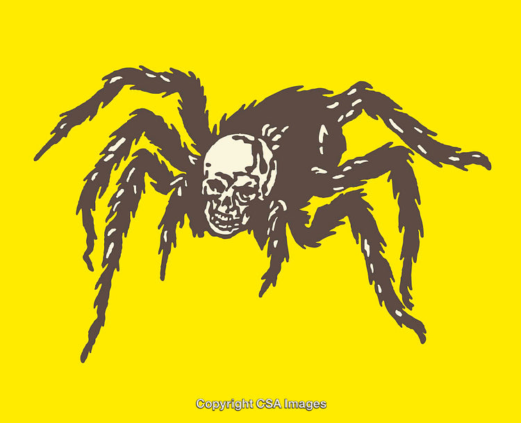 Illustration of a Spider with a Skull Pattern on Yellow Background