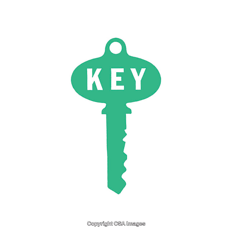 Minimalistic Green Key Graphic Illustration on a White Background