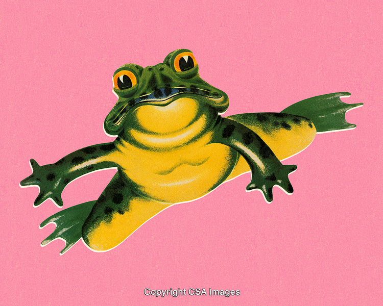 Colorful Frog Illustration on Vibrant Pink Background in Retro Cartoon Style