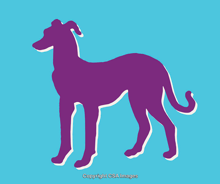 Colorful Silhouette of a Dog in Bold Contrasting Colors