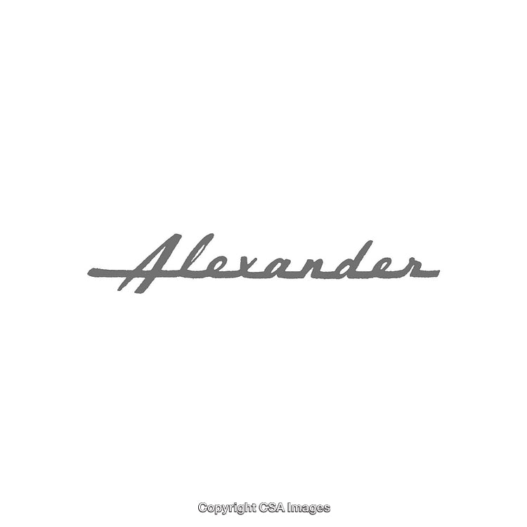 Stylized Handwritten Name Alexander in Minimalistic Monochrome Style