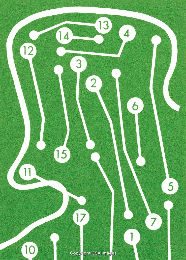 Profile View of a Circuit Board Head with Numbered Connections