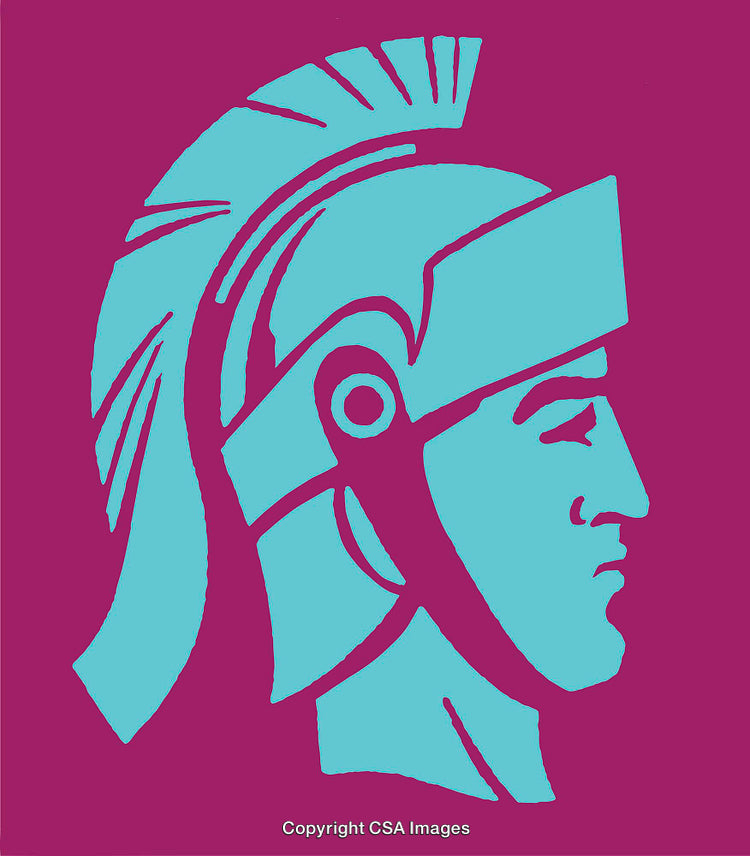 Minimalist Line Art of a Warrior Helmet Design in Bold Colors
