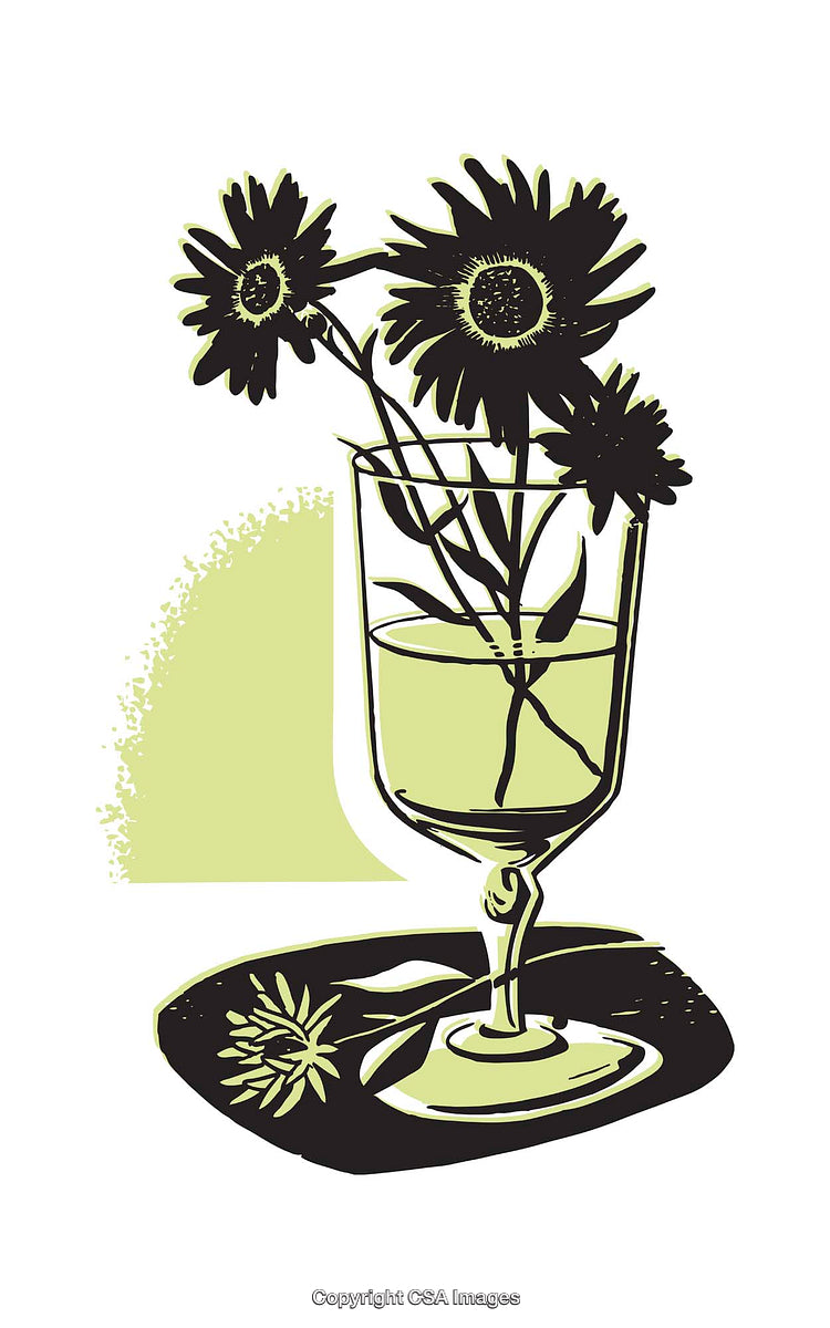 Stylized Illustration of Flowers in a Glass Vase With Bold Contrast