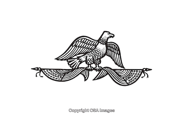 Black and White Line Art of an Eagle Illustration with Decorative Patterns