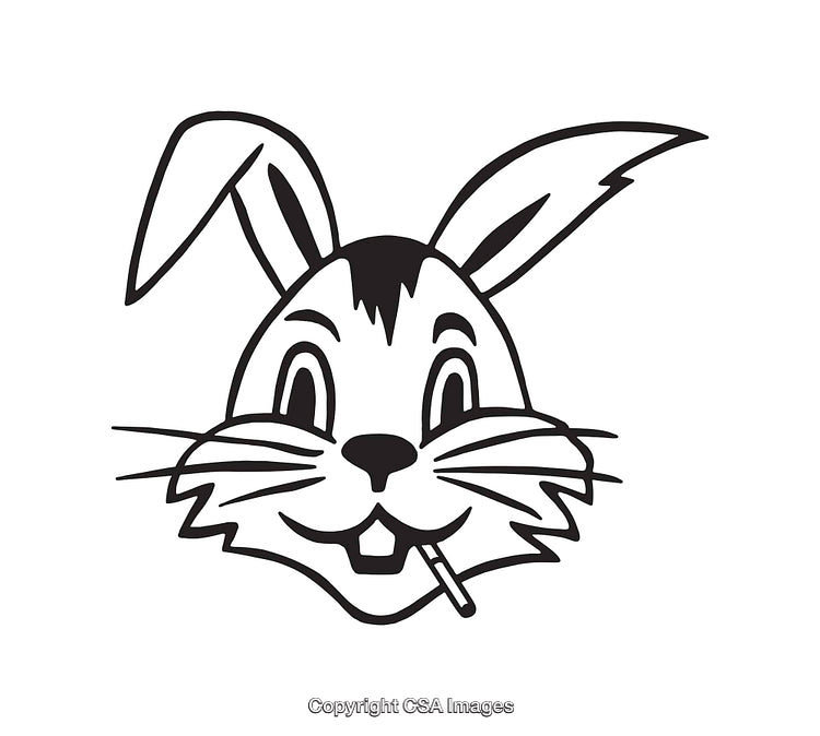 Playful Cartoon Rabbit Face Line Art Illustration in Black and White